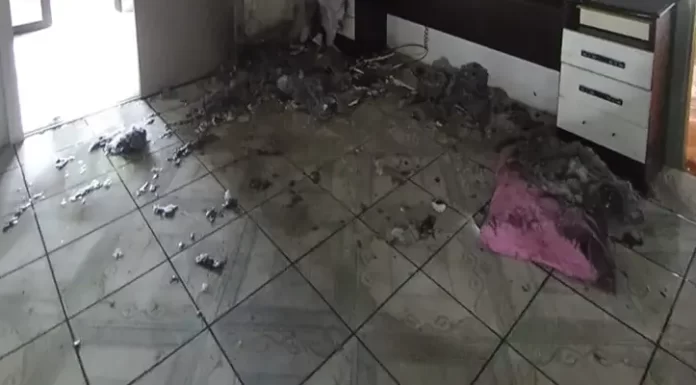 Princípio de incêndio em residência é controlado pelos Bombeiros no bairro São Pedro, em Sombrio